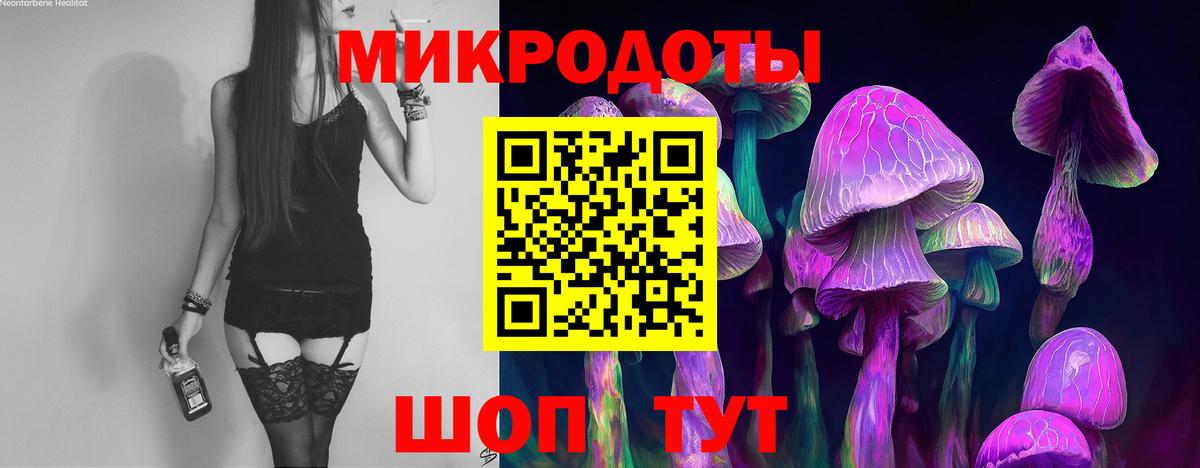 Чапаевск  Псилоцибиновые грибы мухоморы  Вход с VPN 